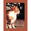 The Bean Family Tree: In English and Spanish - Paperback