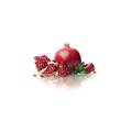 Pretend I'm a Pomegranate - Paperback