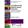 A Profile of the Electric Power Industry: Facing the Challenges of the 21st Century - Paperback
