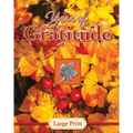 Year of Gratitude - Large Print (Daily Prayer Books) - Hardcover
