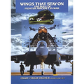 Wings That Stay on: The Role of Fighter Aircraft in War - Paperback