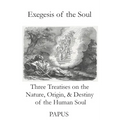 Exegesis of the Soul: Three Treatises on the Nature, Origin, & Destiny of the Human Soul - Paperback