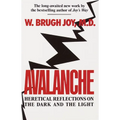 Avalanche: Heretical Reflections on the Dark and the Light - Paperback