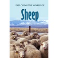 Exploring the World of Sheep: Educational Animals Book For Kids - Paperback