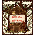 When Little Owl Met Little Rabbit - Hardcover