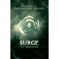 Surge - Paperback