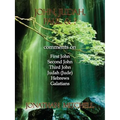 John, Judah, Paul & ?: Comments on First John, Second John, Third John, Judah (Jude), Hebrews, Galatians - Paperback