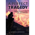 A Perfect Tragedy: Finding Purpose in Pain, Loss, and Addiction - Paperback