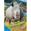 Rhinoceroses - Library Binding