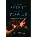 When the Spirit Comes with Power: Signs and Wonders Among God's People - Paperback
