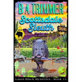 Scottsdale Sleuth: a fun, romantic, thrilling, adventure... - Paperback