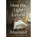 How the Light Gets in - Paperback