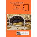 Placer Gold Deposits of Arizona - Paperback