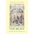 Witness Against the Beast: William Blake and the Moral Law - Paperback