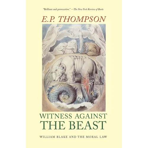 Witness Against the Beast: William Blake and the Moral Law - Paperback