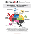 GeniusX: Business Intelligence - Paperback