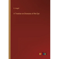 A Treatise on Diseases of the Eye - Paperback