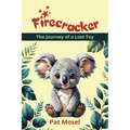 Firecracker: The Journey of a Lost Toy - Paperback