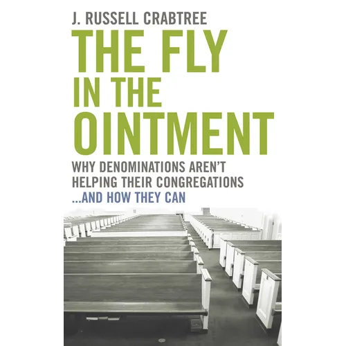 The Fly in the Ointment: Why Denominations Aren't Helping Their Congregations...and How They Can - Paperback