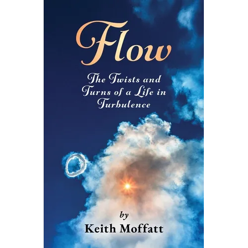 Flow: The Twists and Turns of a Life in Turbulence - Paperback