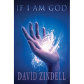 If I Am God - Paperback