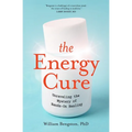 The Energy Cure: Unraveling the Mystery of Hands-On Healing - Paperback