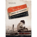 My 30 Days Under the Overpass: Not Your Ordinary Devotional - Paperback