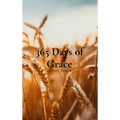 365 Days of Grace: A Devotional for the Working Mom - Hardcover