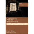 Waiting on the Spirit of Promise: The Life and Theology of Suffering of Abraham Cheare - Hardcover