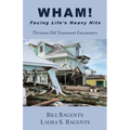 WHAM! Facing LIfe's Heavy Hits: Thirteen Old Testament Encounters - Paperback