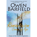 Romanticism Comes of Age - Paperback