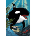 Brian Orca: A fable in novella form - Paperback