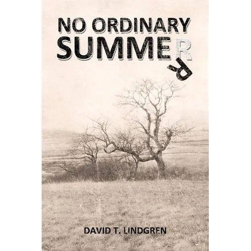 No Ordinary Summer - Paperback