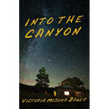 Into the Canyon - Paperback