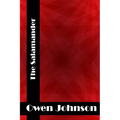 The Salamander: (Owen Johnson Classics Collection) - Paperback