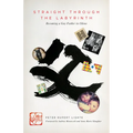 Straight Through the Labyrinth: Becoming a Gay Father in China - Paperback