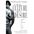 The Culture of Desire: Paradox and Perversity in Gay Lives Today - Paperback