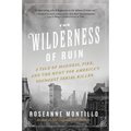 The Wilderness of Ruin: A Tale of Madness, Fire, and the Hunt for America's Youngest Serial Killer - Paperback
