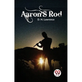 Aaron's Rod - Paperback