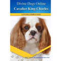 Cavalier King Charles Spaniel - Paperback