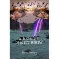 A Rain of Night Birds - Paperback
