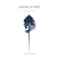 Grow Up Fast: Lessons from an AI Startup - Hardcover