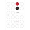 Amalgamation Schemes: Antiblackness and the Critique of Multiracialism - Paperback