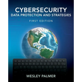 Cybersecurity - Data Protection and Strategies: First Edition - Paperback