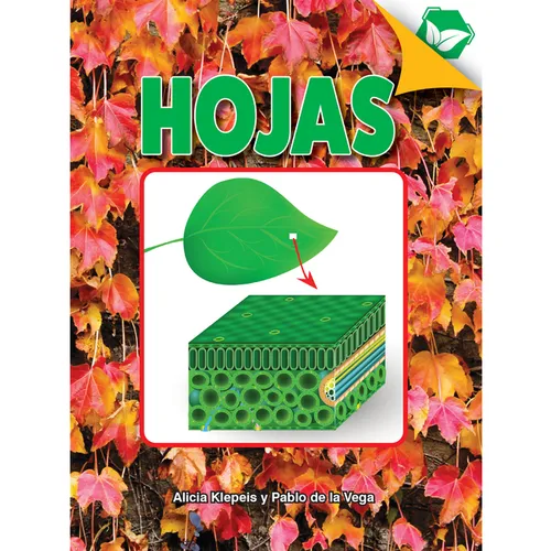 Hojas: Leaves - Paperback