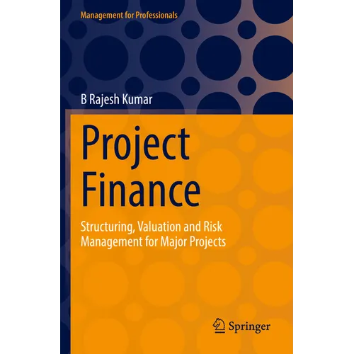 Project Finance: Structuring, Valuation and Risk Management for Major Projects - Paperback