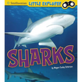 Sharks - Paperback