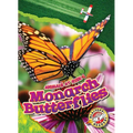 Monarch Butterflies - Library Binding