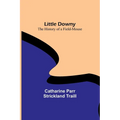 Little Downy: The History of a Field-Mouse - Paperback
