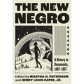 The New Negro: A History in Documents, 1887-1937 - Paperback